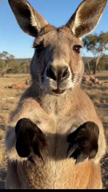Благодарю вас❤️ смотреть онлайн