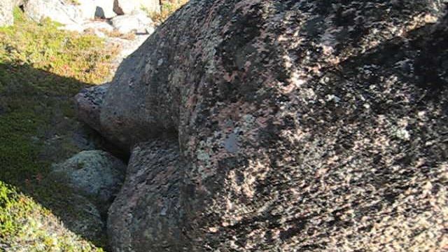 ©  «Куричья Нилокса. Осень 2007. Менгир. Фрагмент» 2007 MVI_1261