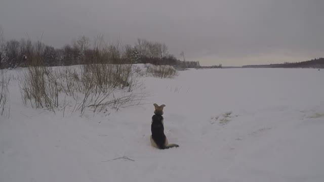 Рыбалка, на Вятке 2026г. смотреть онлайн