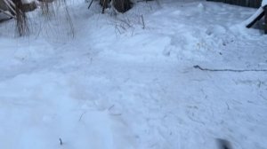 ТАМБОВСКИЙ ГУЛЯКА