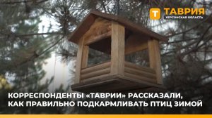 Корреспонденты "Таврии" рассказали, как правильно подкармливать птиц зимой