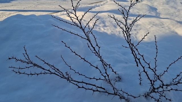 15 января 2026год 
t°-12°С❄️