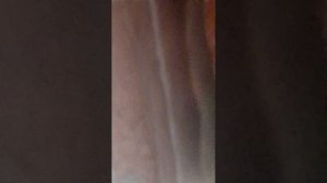 ЧТО ЗА УЖАСНЫЙ УЧЕБНИК?