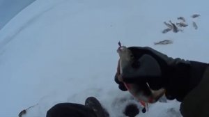 Ловля на питерскую балду. Зеленогорск 14.1.26.