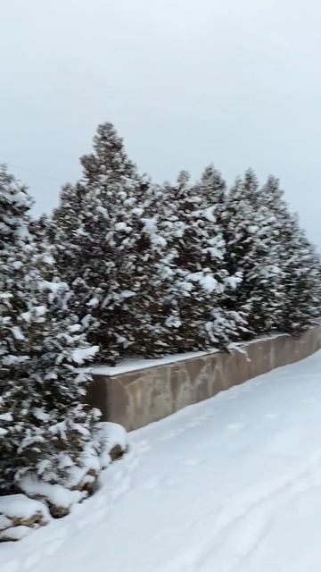 Снежная зима в Таганроге#15января2026год #зима #светдуши #светланаанохина смотреть онлайн