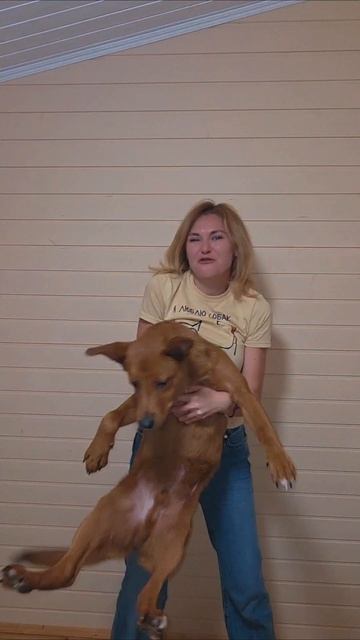 После такого филяй-филяй пес обоссал пол смотреть онлайн