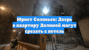 Юрист Соловьев: Дверь в квартиру Долиной могут срезать с петель