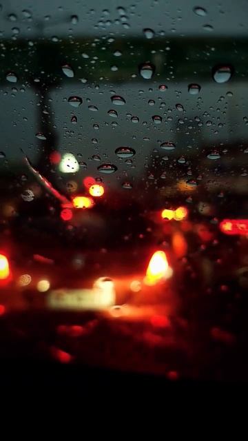 0115(4) смотреть онлайн