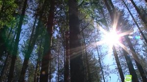 Соловецкая Голгофа