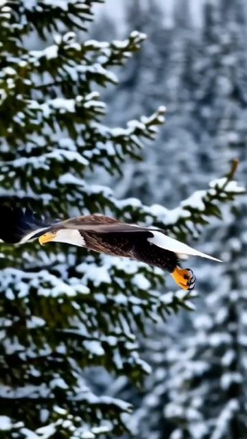 Доброе утро смотреть онлайн