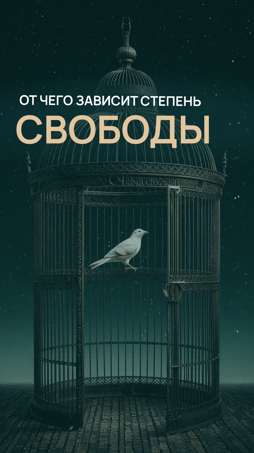 От чего зависит степень свободы смотреть онлайн