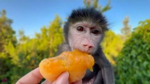 Ангелина БАЛУЕТ ЛЮСЮ и все вкусняшки отдаёт ей!