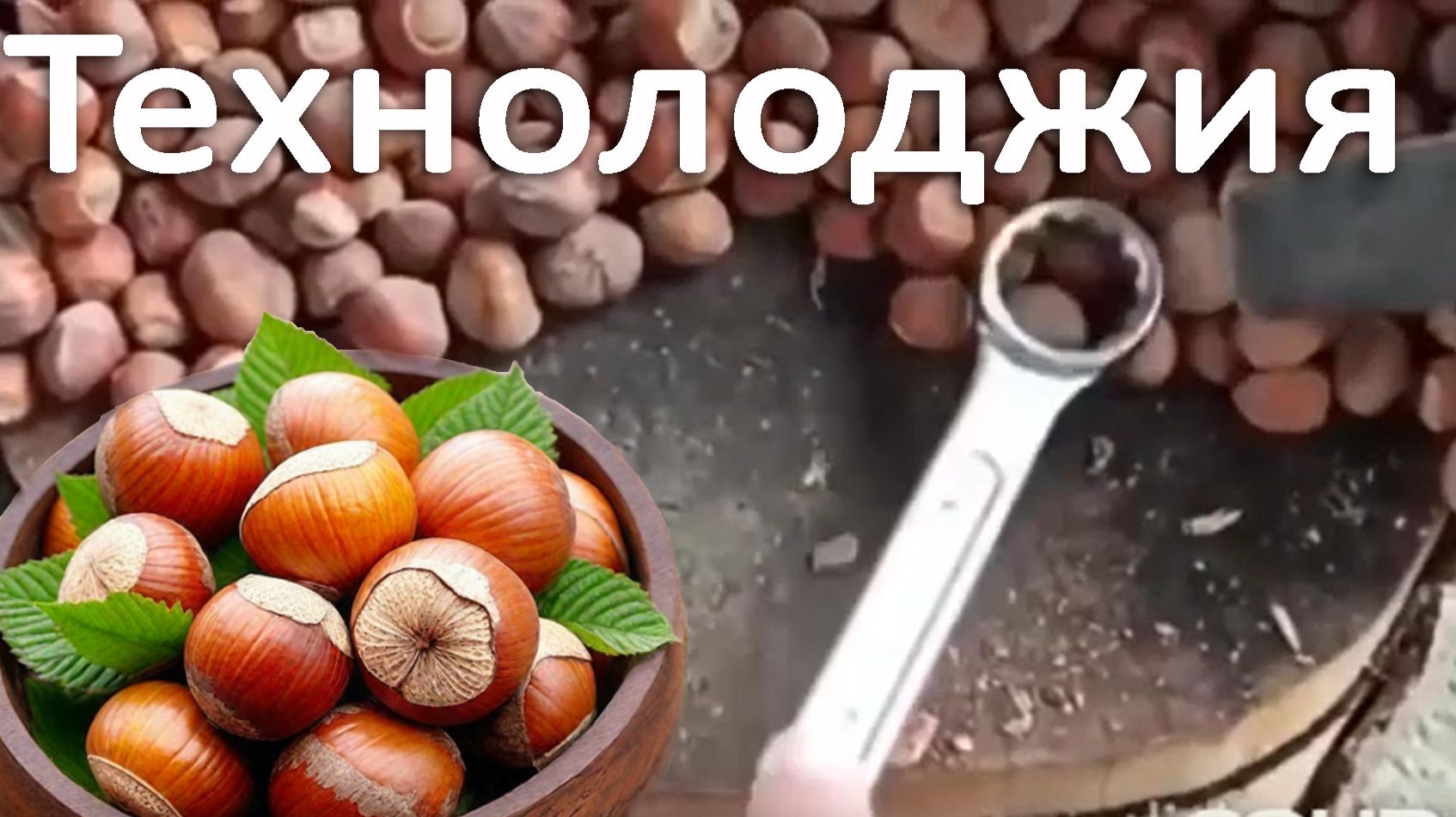 Как колоть фундук смотреть онлайн