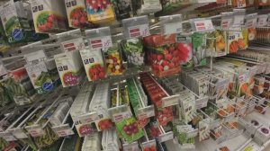 Середина  января 2025 года. Прогулка в гипермаркет за семенами. Много и недорого.