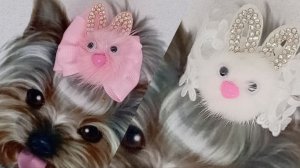 МК: Бантики для животных с плюшевыми мордочками