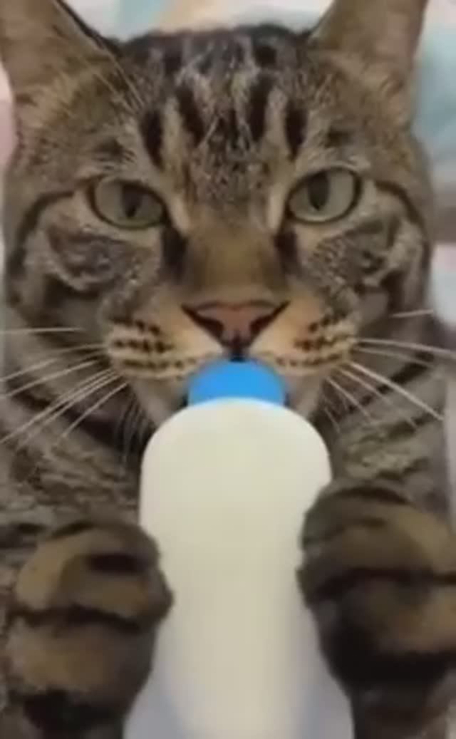 рыбов продаете смотреть онлайн