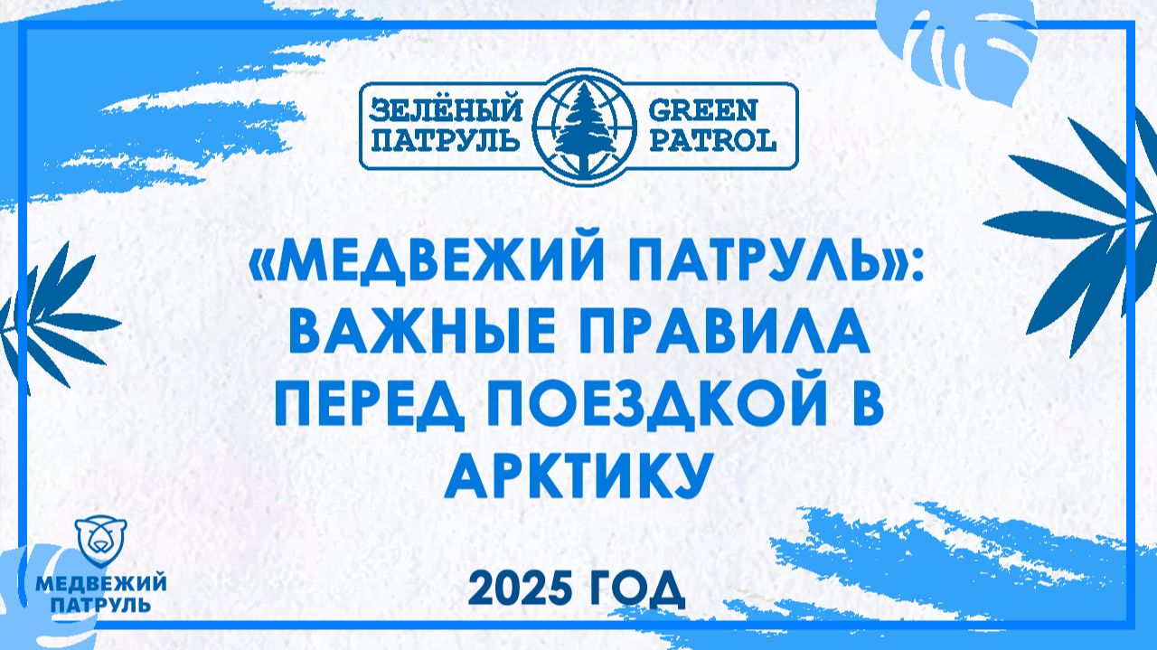 «Медвежий патруль»: Важные правила перед поездкой в Арктику смотреть онлайн