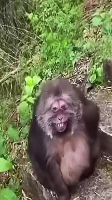 Стоматология смотреть онлайн