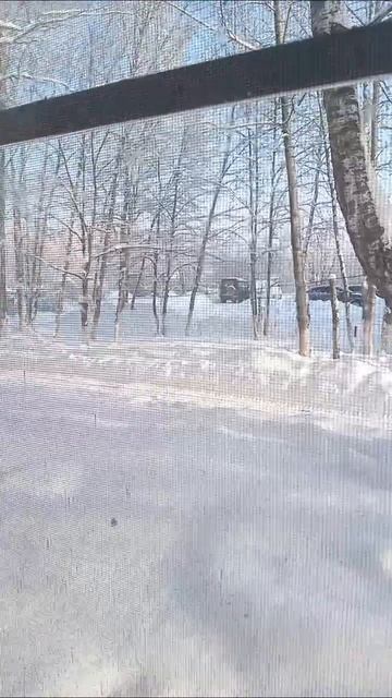 15-01-2026 за окном д. Жилетово смотреть онлайн