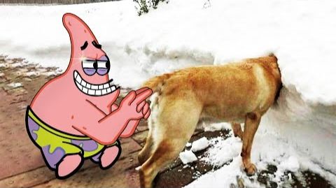 Мультики для детей. Яркие Мультики  . Детские мультики для малышей смотреть смотреть онлайн