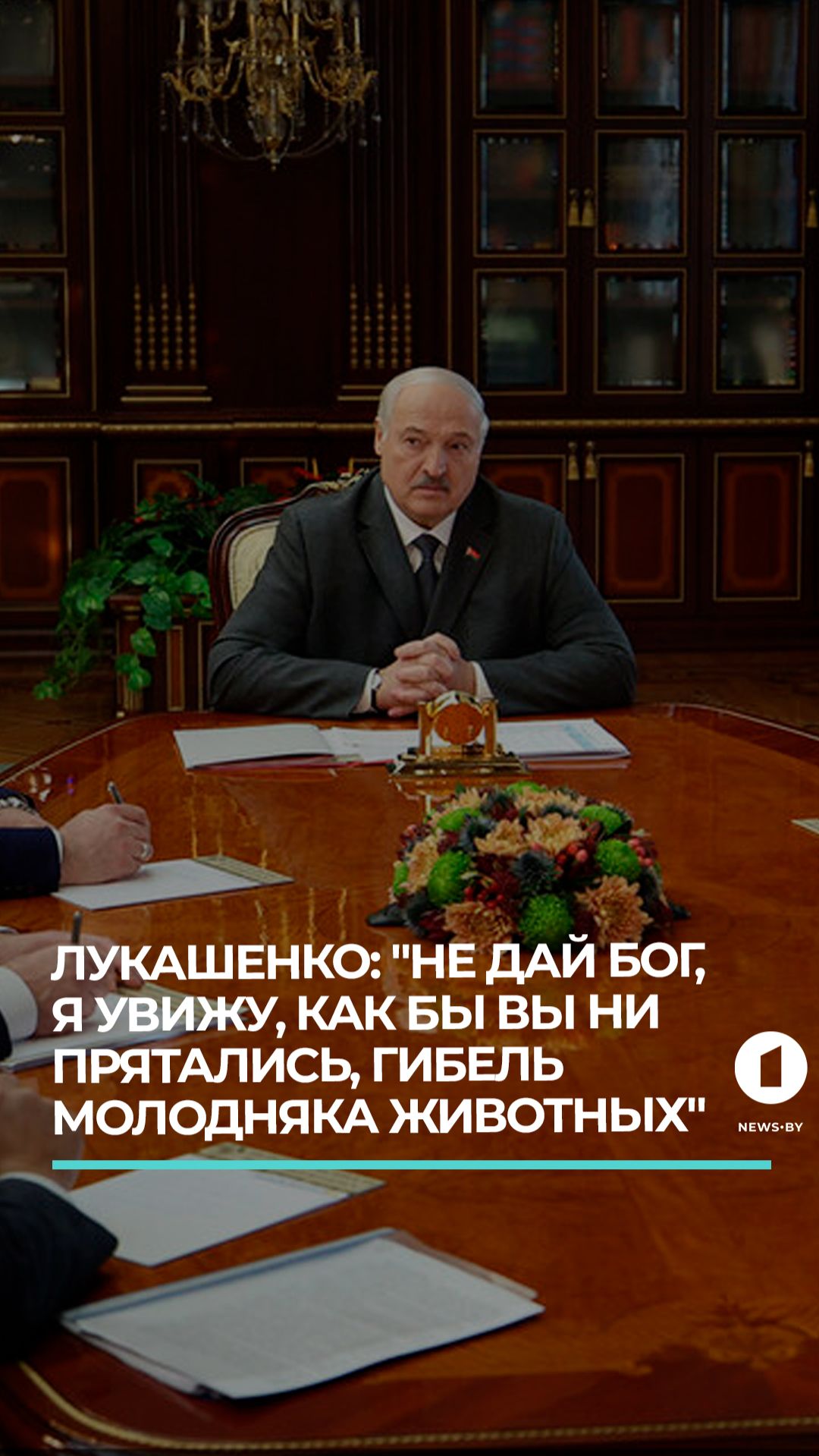 Лукашенко: "Не дай бог, я увижу,  как бы вы ни прятались,  гибель молодняка животных" смотреть онлайн