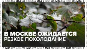 Резкое похолодание ожидается в Москве в выходные - Москва 24