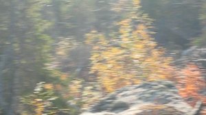 © "Русский. Перышко на ветру" Осень 2007 Фрагмент. MVI_1790