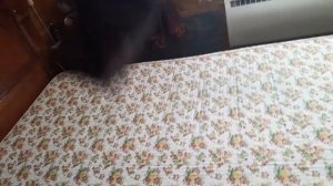 Жизнь в Загородном доме в Сибирской деревне/Морозно - 37/Домашний влог 14-15.01.2026