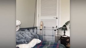 ЗАБАВНЫЕ МАЛЫШИ-ЖИВОТНЫЕ КОТОРЫЕ ВАС НАСМЕШАТ