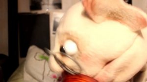 Музыкальный коллектив Прожект БАМ - Танцы-шманцы