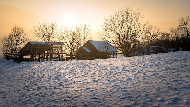 Сельские будни. Пеку драники смотреть онлайн
