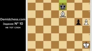 Задание № 10 Не тот слон