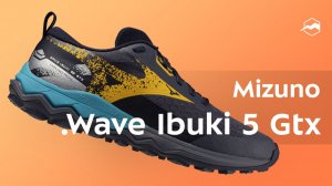 Кроссовки Mizuno Wave Ibuki 5 Gtx