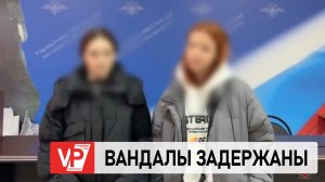 ПОД ВОЛГОГРАДОМ ПОЛИЦИЯ ЗАДЕРЖАЛА ВАНДАЛОВ, СЛОМАВШИХ ПРАЗДНИЧНЫЕ СВЕТОВЫЕ ФИГУРЫ