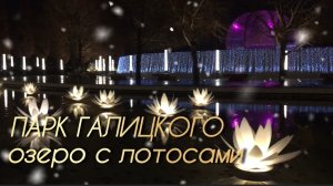 Парк Галицкого в январе. Озеро с лотосами✅