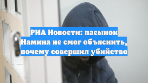 РИА Новости: пасынок Намина не смог объяснить, почему совершил убийство