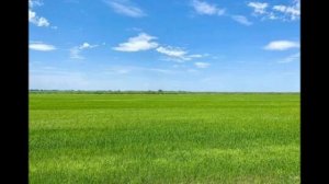 разбор 1 trivia murder party 3