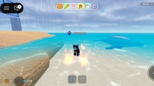 гонки с дельфином.