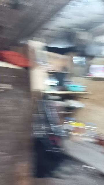 Сидим в двоём, с котом, в БЛИНДАЖЕ, готовим укроп🤣🤣🤣🤍💙❤️🇷🇺🇷🇺🇷🇺 смотреть онлайн