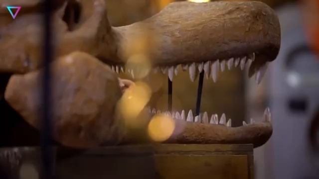 Я люблю всех животных😇 смотреть онлайн