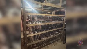 В Волгограде полицейские пресекли незаконную деятельность цеха по производству рыбной продукции