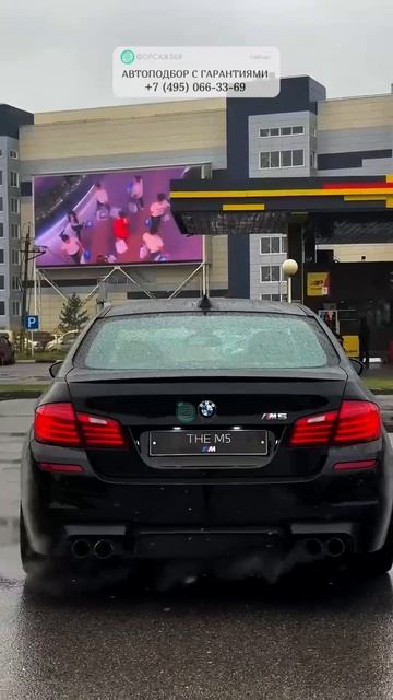 13 ЛЕТ МАШИНЕ, А ВИД ИМЕЕТ 🔥  #автоподбор #автоприколы #подборавто #перекупы #автоюмор смотреть онлайн