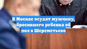 В Москве перед судом предстанет мужчина, бросивший ребенка об пол в Шереметьево