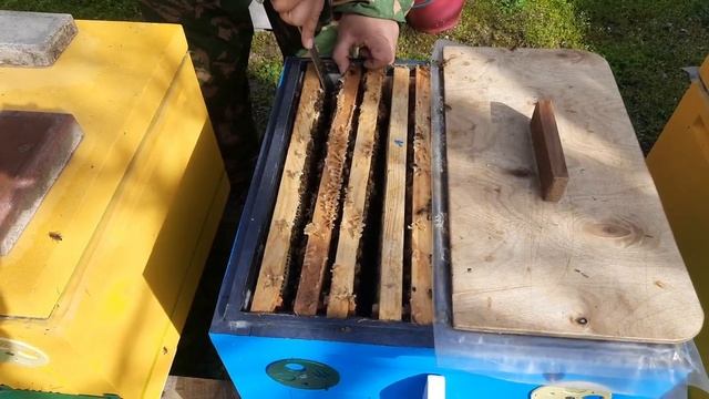 Двухматочный Весенний Старт!!! смотреть онлайн