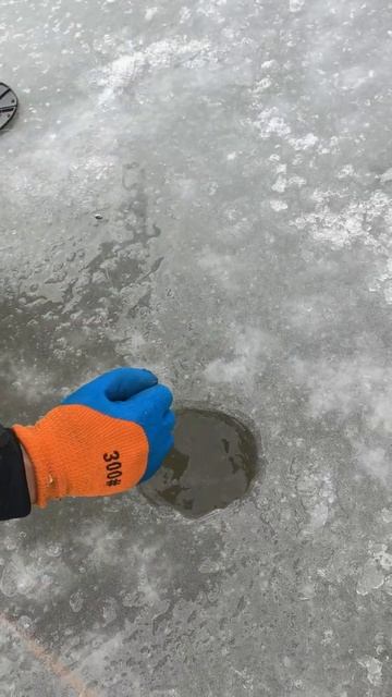 Вот это улов! Щучка 5.2 кг смотреть онлайн