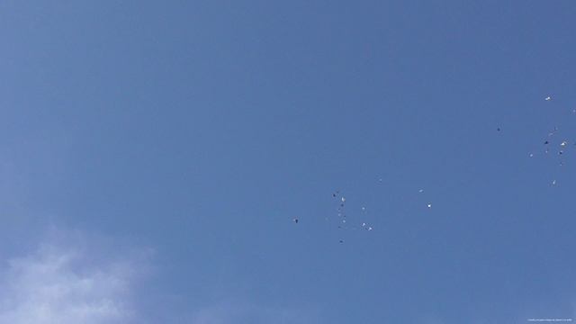 Гоняем голубей в красивый вечер смотреть онлайн