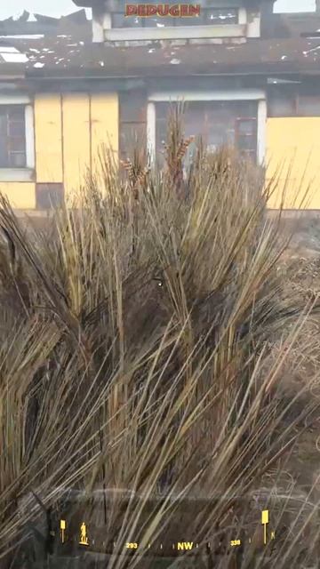 Дачник 50 уровня. Fallout 4. #shorts #fallout смотреть онлайн