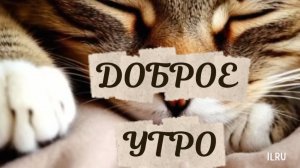 Доброго утра! Красивые открытки пожелания