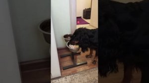 Кормим нехочуху 😉👍