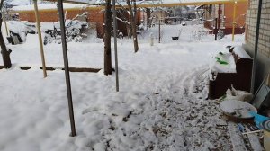 Зимовка кошек, новая кастрюля! 🤗🙏😺🐱😺